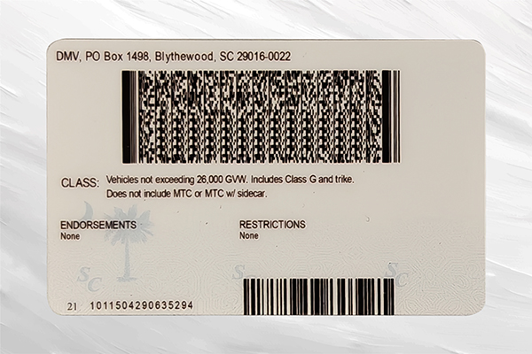 IMG20250519094332 拷贝