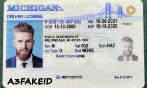 Michigan fake id