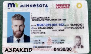 Minnesota scannable id