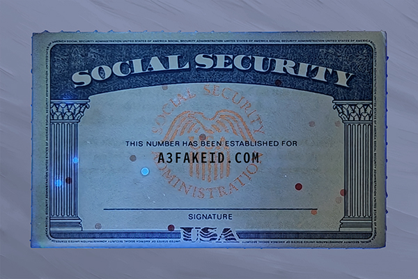 IMG20250519093019 拷贝