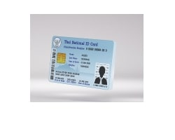 Fake IDs