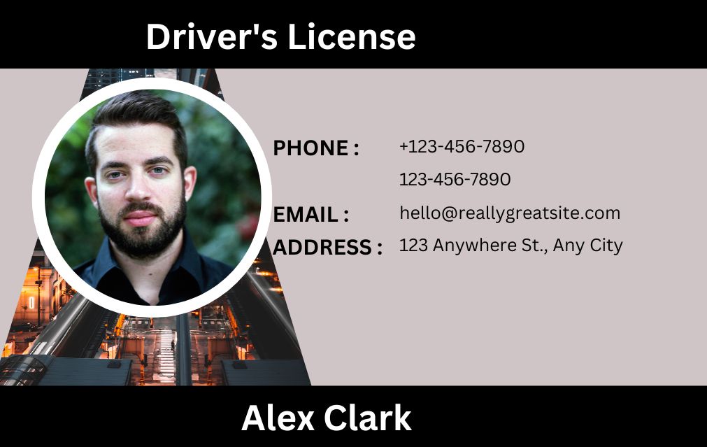 Fake Driver's License