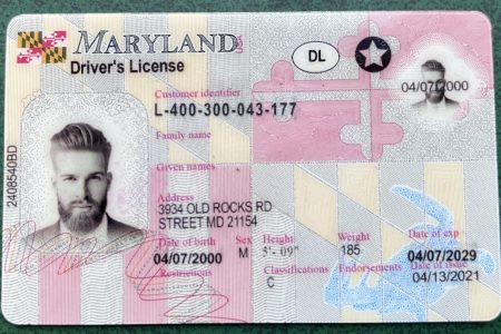 Maryland novelty drivers license
